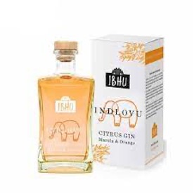 Indlovu orange