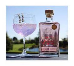Indlovu pink